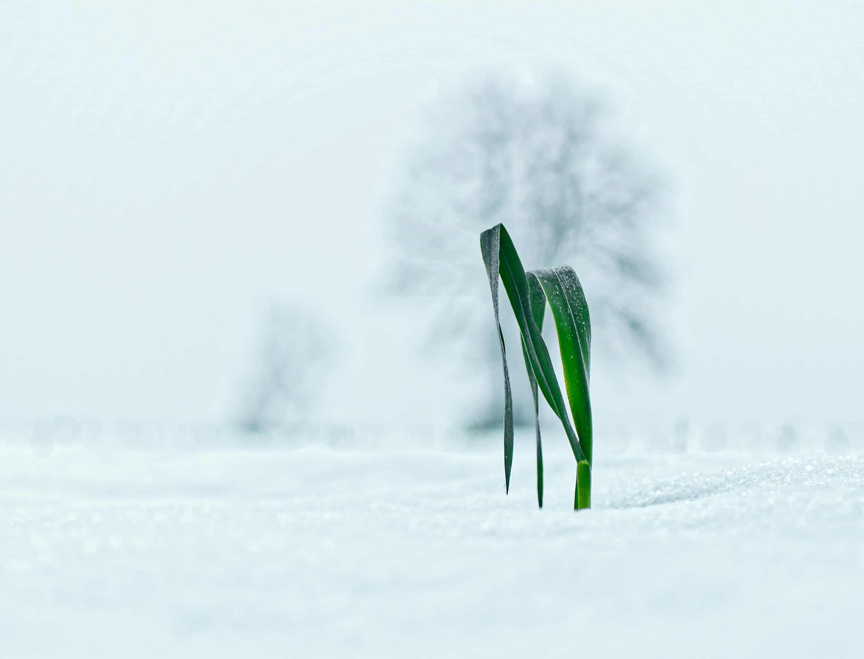 Your Website Is Live, But Is It Alive? Why Ongoing Optimization Matters - TECHNOLOGY blog post